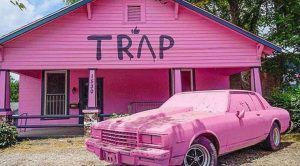 Pink Trap House Installation